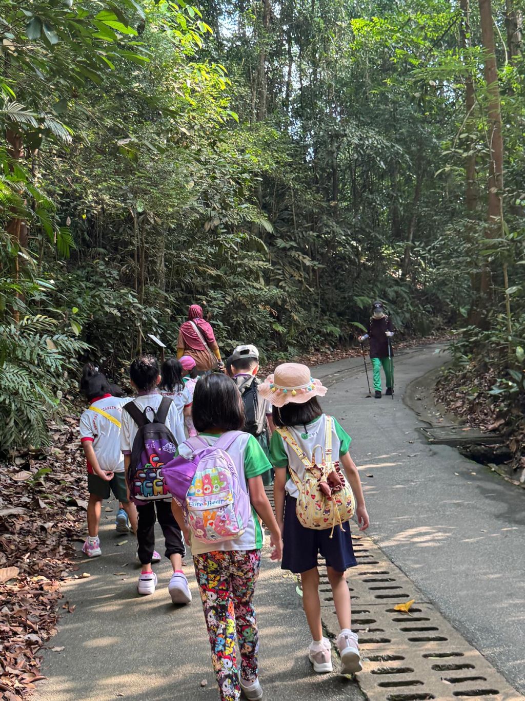 June Holiday Program - Campers hiking @Bukit Timah Hill — photo 16