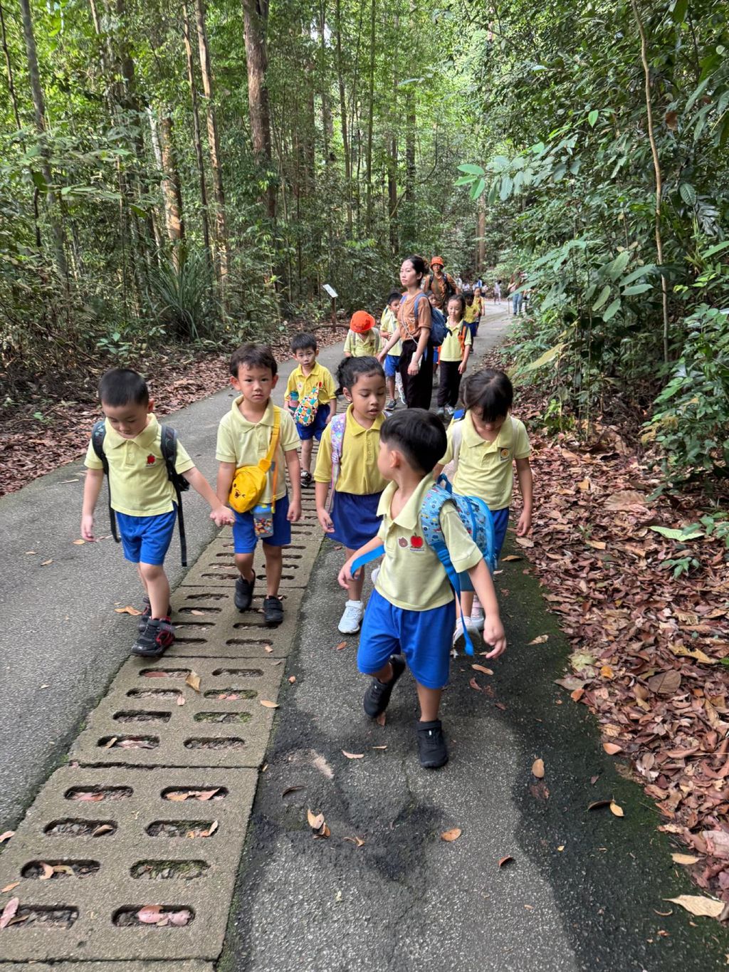 June Holiday Program - Campers hiking @Bukit Timah Hill — photo 17