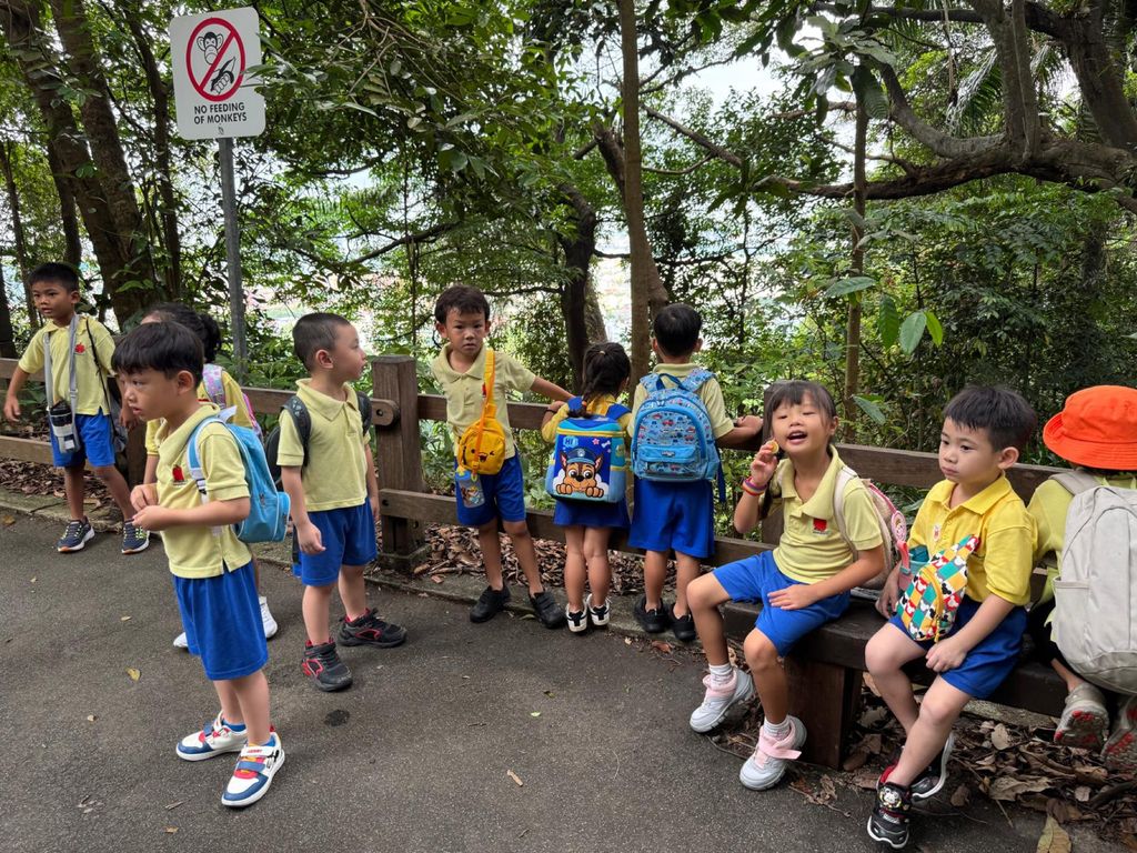 June Holiday Program - Campers hiking @Bukit Timah Hill — photo 18