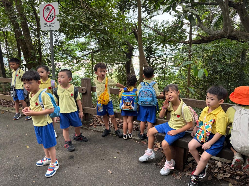June Holiday Program - Campers hiking @Bukit Timah Hill — photo 19
