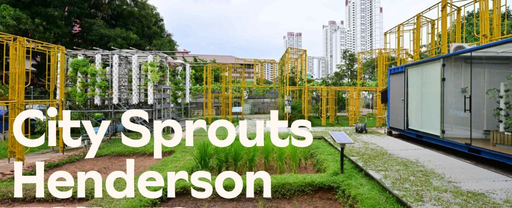 Excursion to City Sprouts