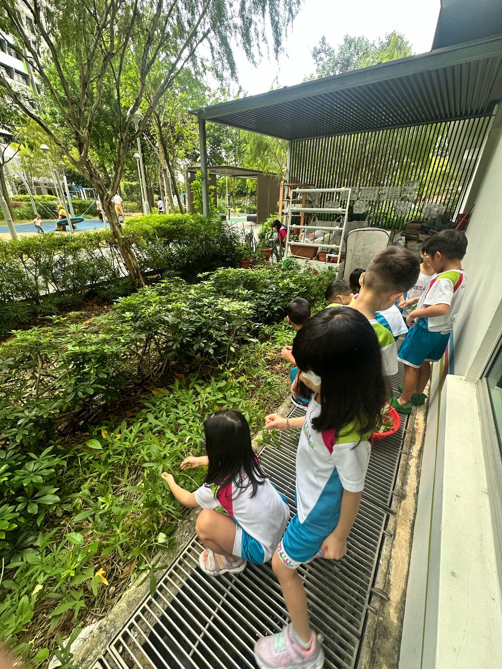 Gardens By The Bay - Green Gardians — photo 6