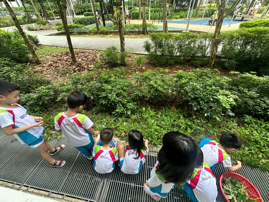 Gardens By The Bay - Green Gardians — photo 8