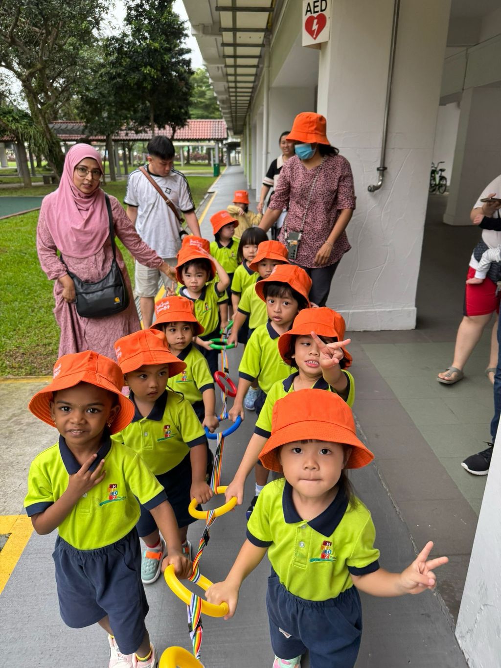 Orange distribution — photo 1