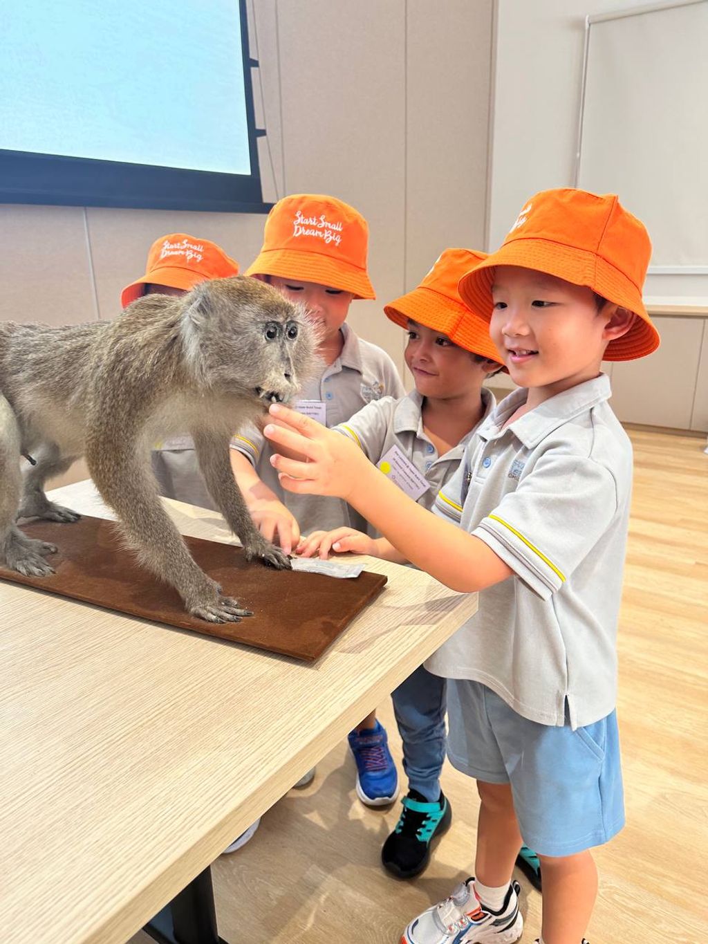 Star Learners @ Upper Bukit Timah - Sharing Spaces: Living Safely with Macaques 2025 — photo 1