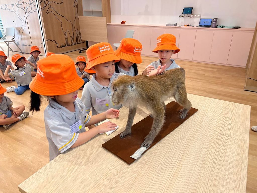 Star Learners @ Upper Bukit Timah - Sharing Spaces: Living Safely with Macaques 2025 — photo 2