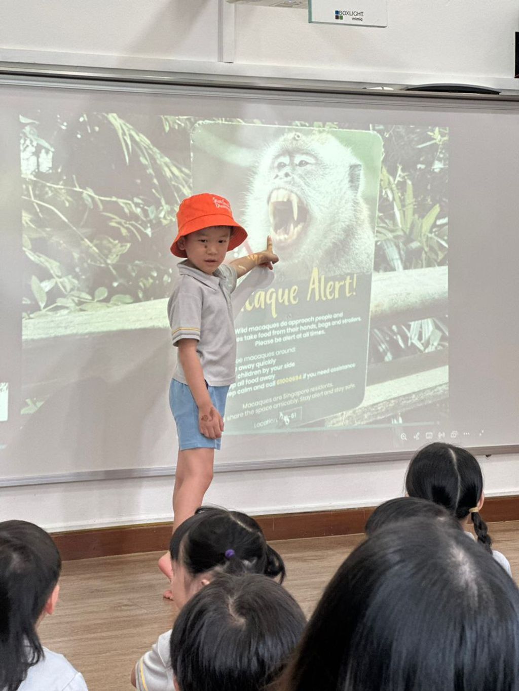 Star Learners @ Upper Bukit Timah - Sharing Spaces: Living Safely with Macaques 2025 — photo 5