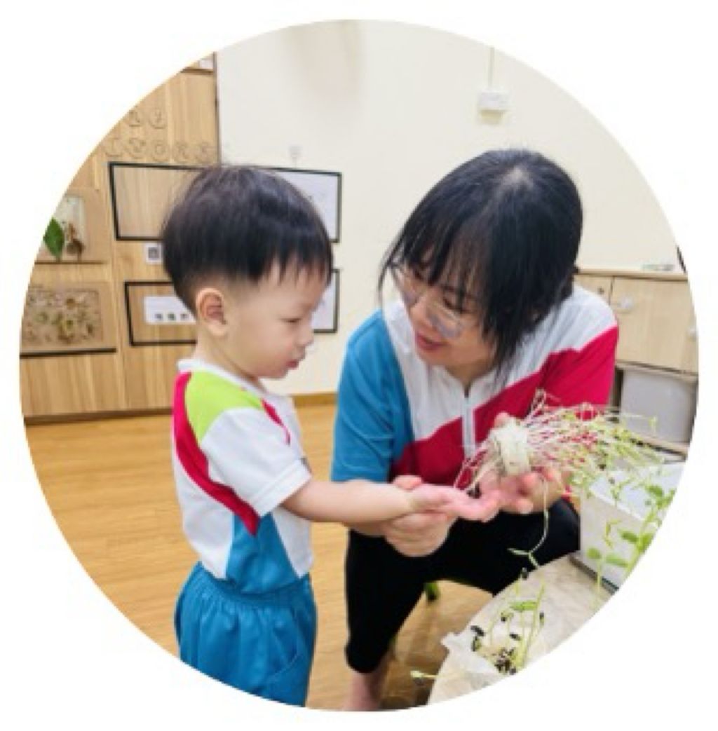 一起种出绿意来