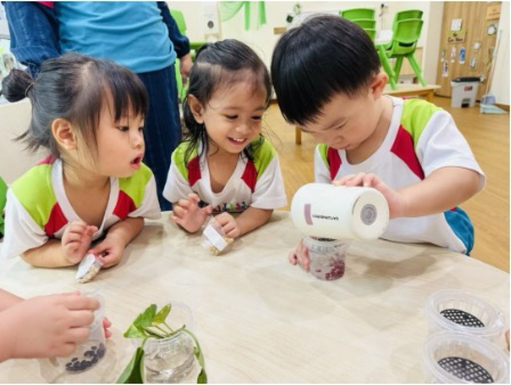 一起种出绿意来 — photo 2