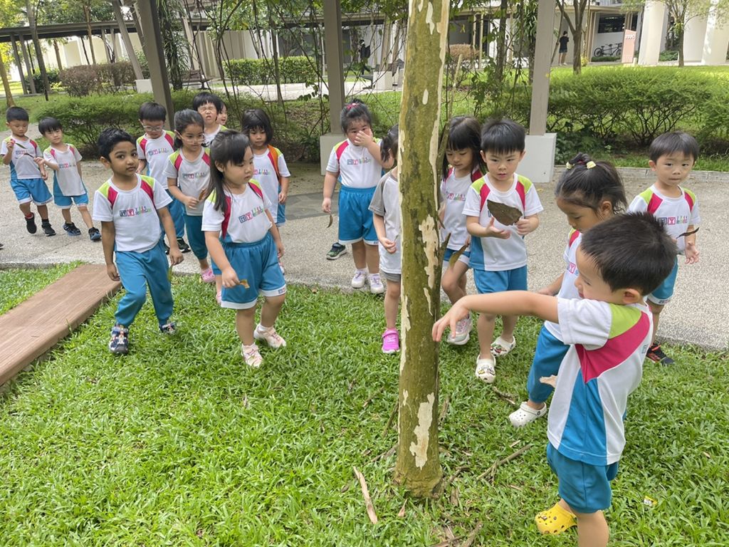 小小植物家，黏土创造 — photo 3
