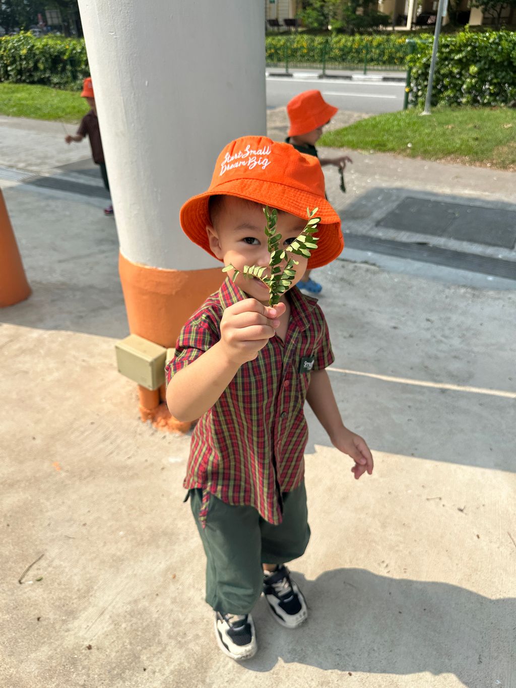 Our Kindness Garden — photo 4