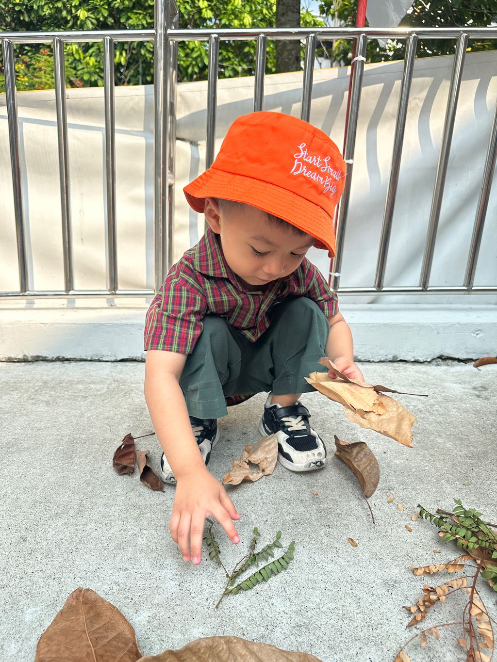 Our Kindness Garden — photo 10