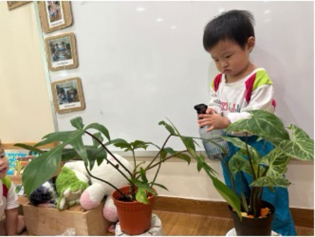 Sustainability in Plants