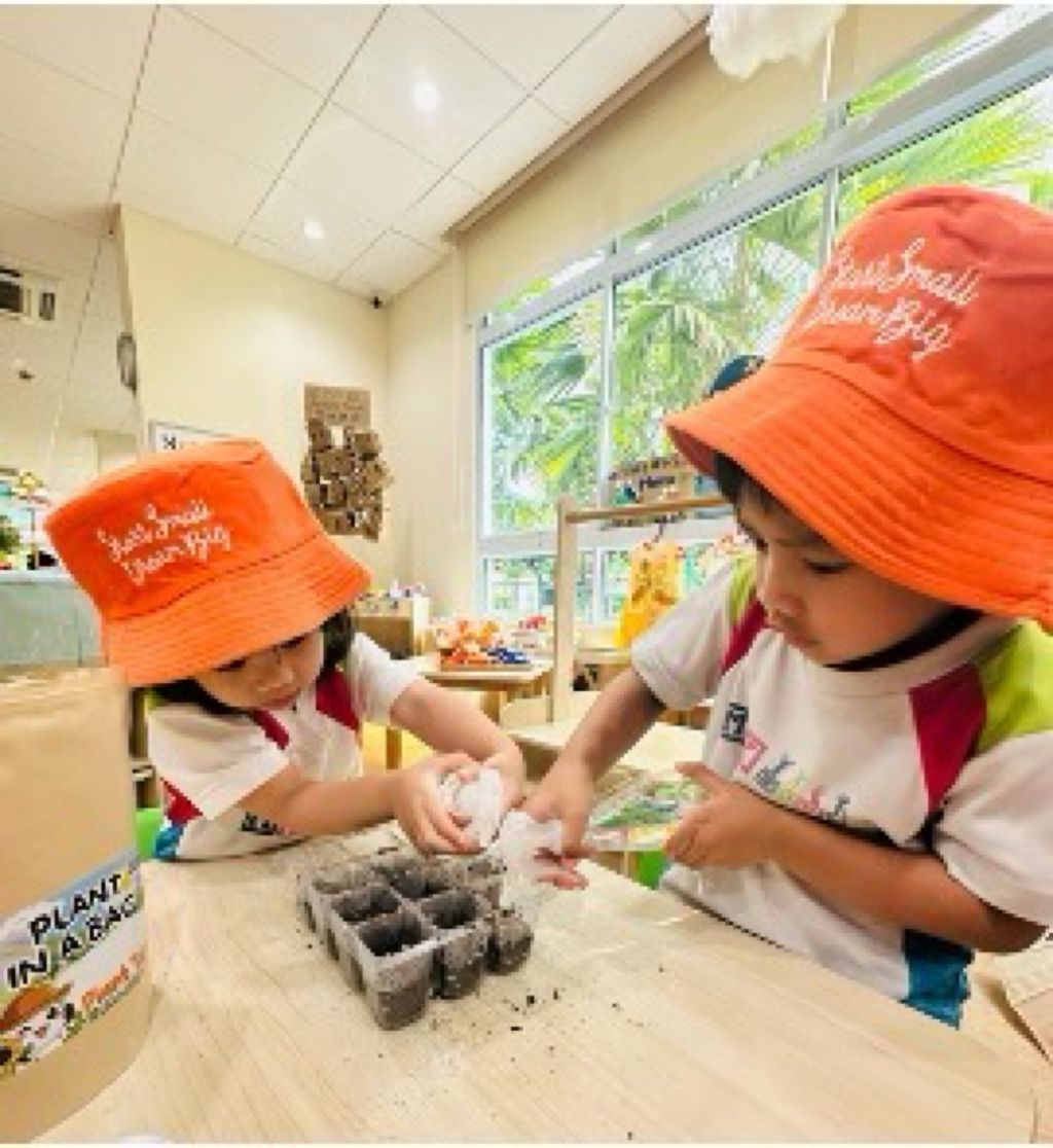 planting Our Own Mini Garden! — photo 2