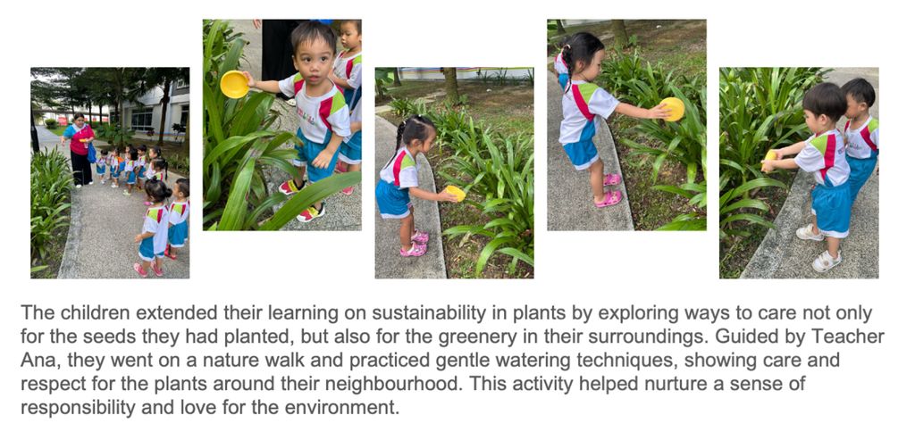 Sustainbility on Plants