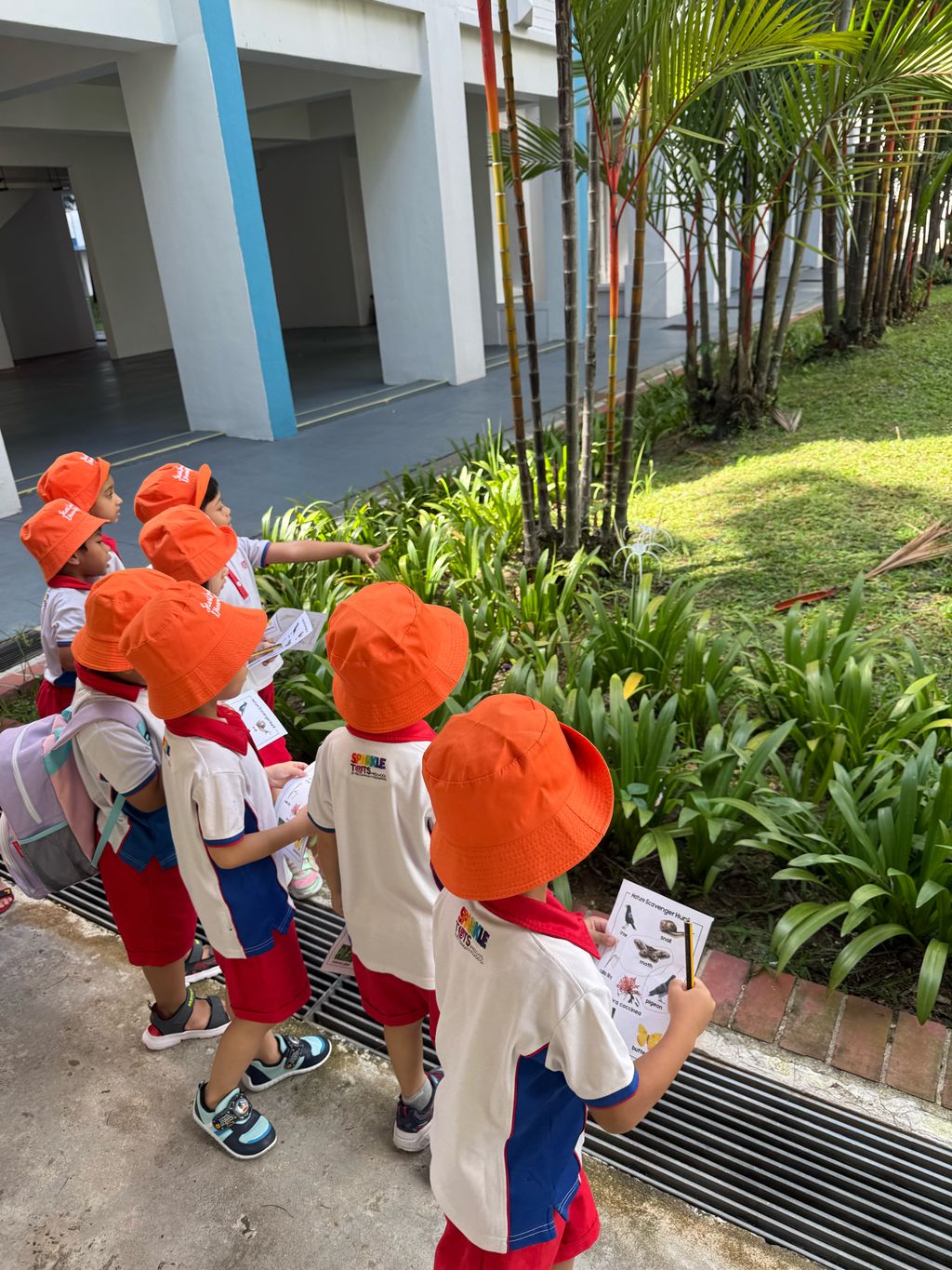 Biodiversity Week (26-27 May 2025) - PCF Sparkletots @ Jalan Kayu Block 970 (DS)