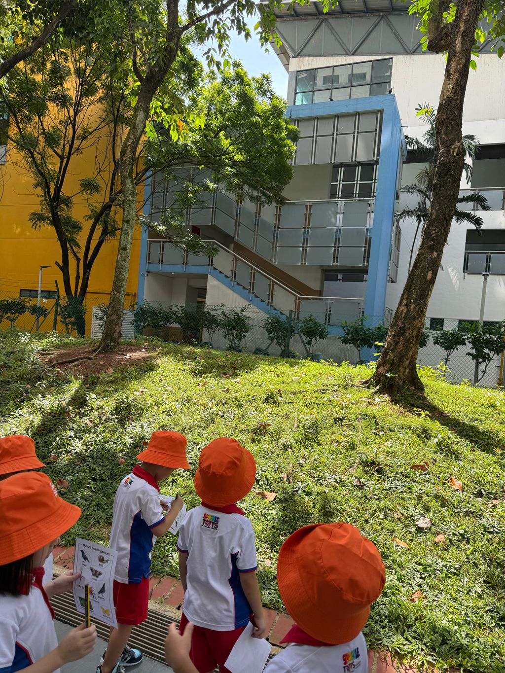 Biodiversity Week (26-27 May 2025) - PCF Sparkletots @ Jalan Kayu Block 970 (DS) — photo 5