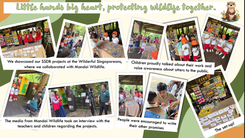 PCF Sparkletots Preschool@Canberra Blk 337 (CC) SSDB x Mandai Wildlife: Wilderful Singaporeans 2025