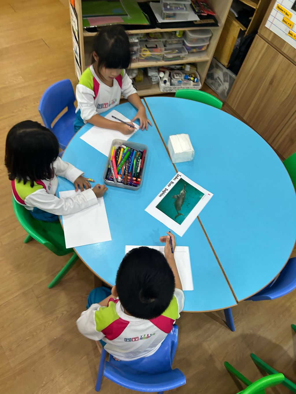 Finding out more about river animals