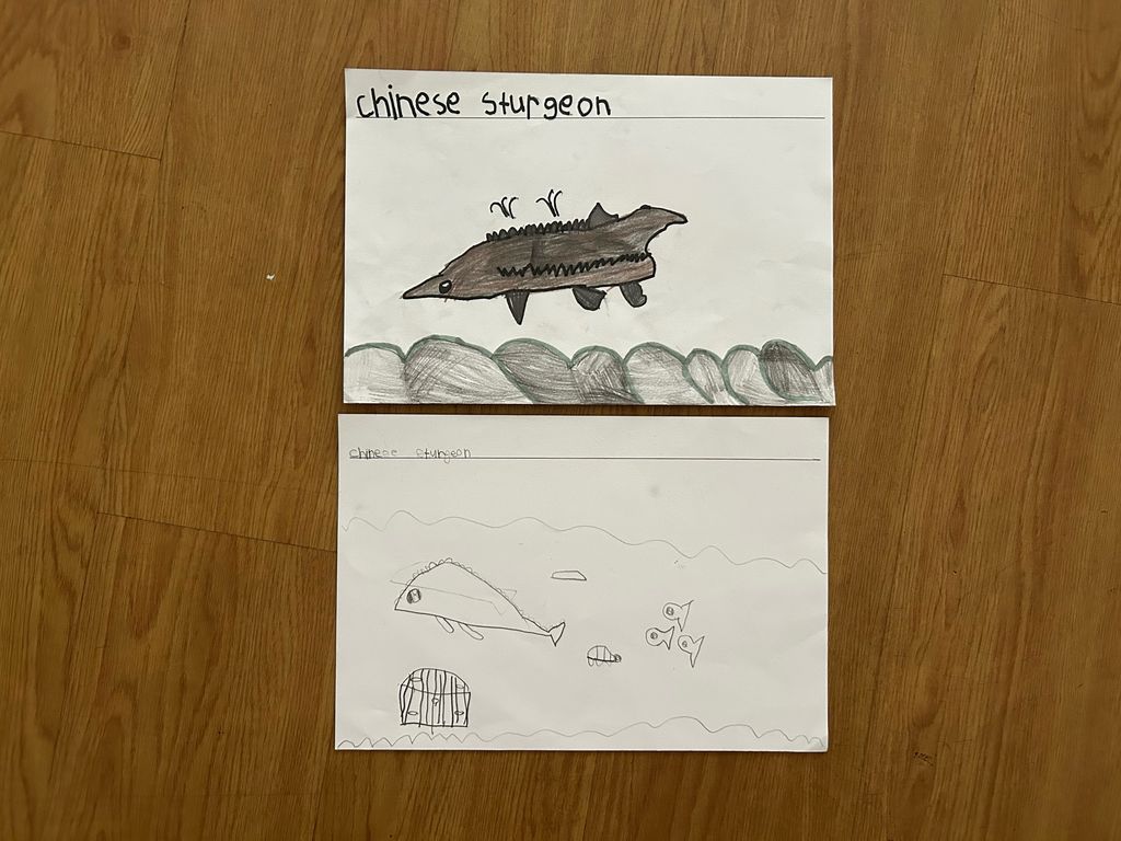 Finding out more about river animals — photo 4