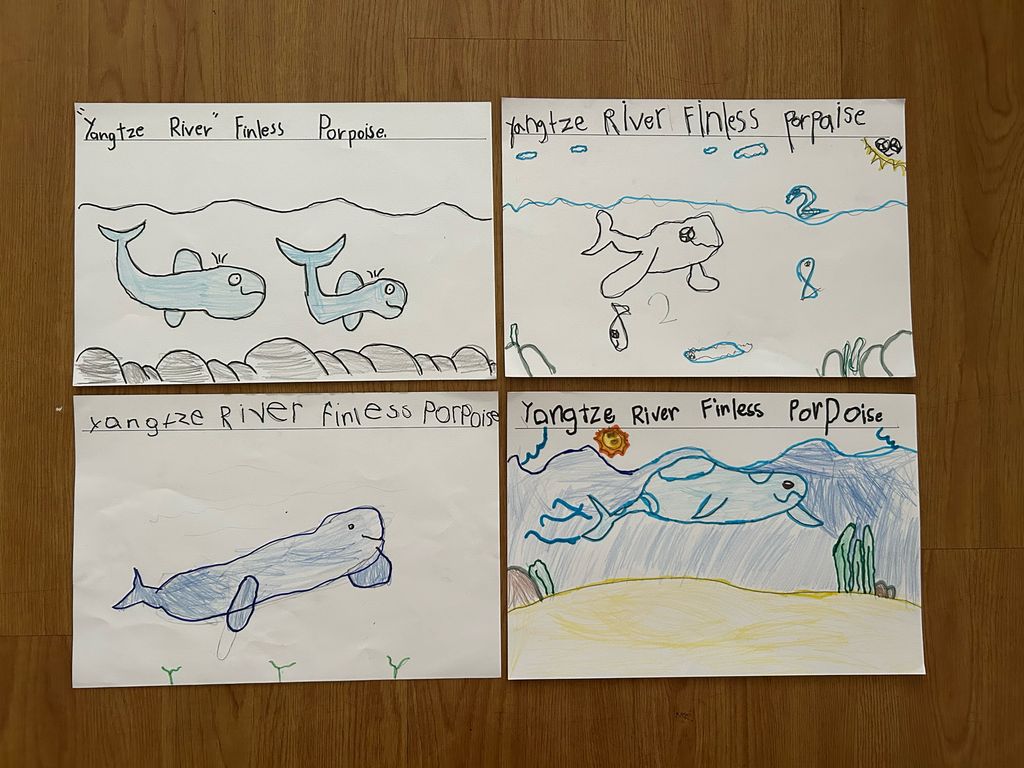 Finding out more about river animals — photo 5