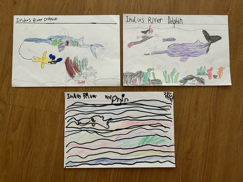 Finding out more about river animals — photo 6