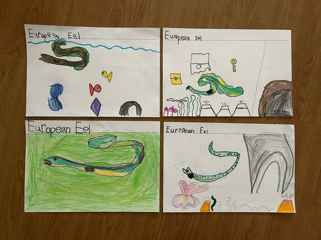 Finding out more about river animals — photo 7