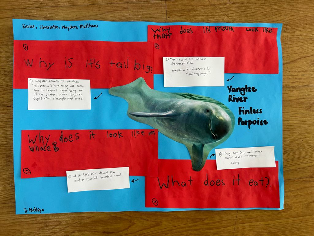 Finding out more about river animals — photo 1