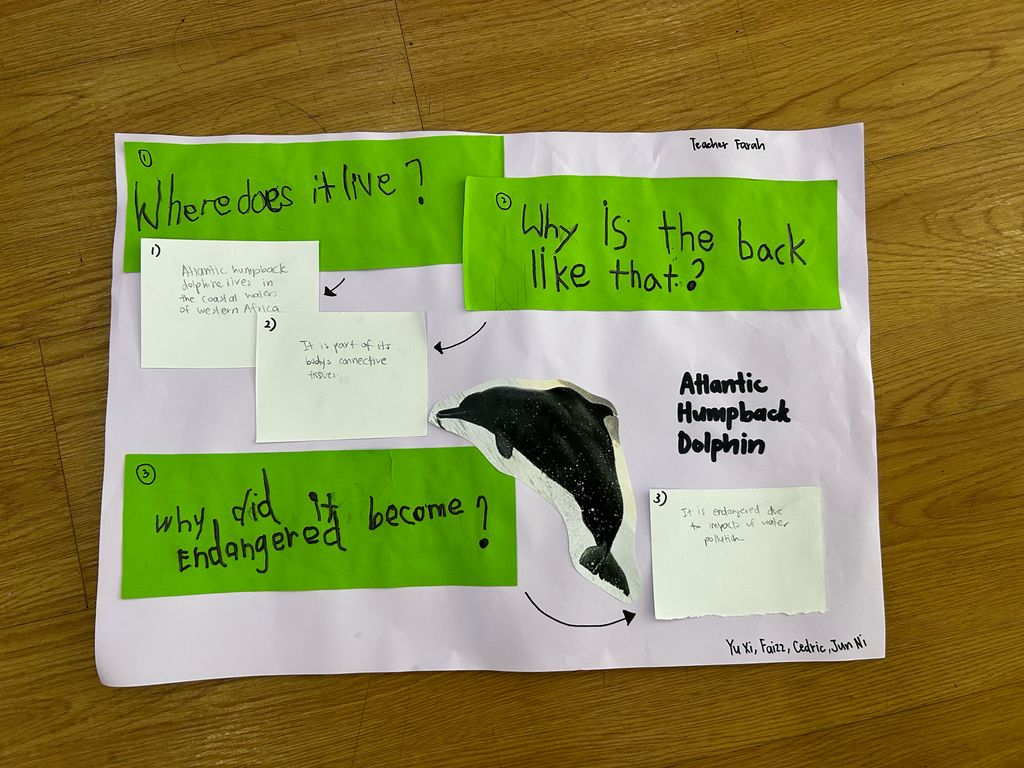 Finding out more about river animals — photo 2