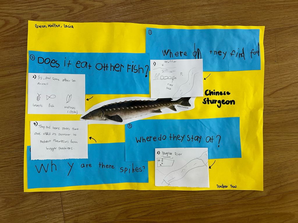 Finding out more about river animals — photo 4
