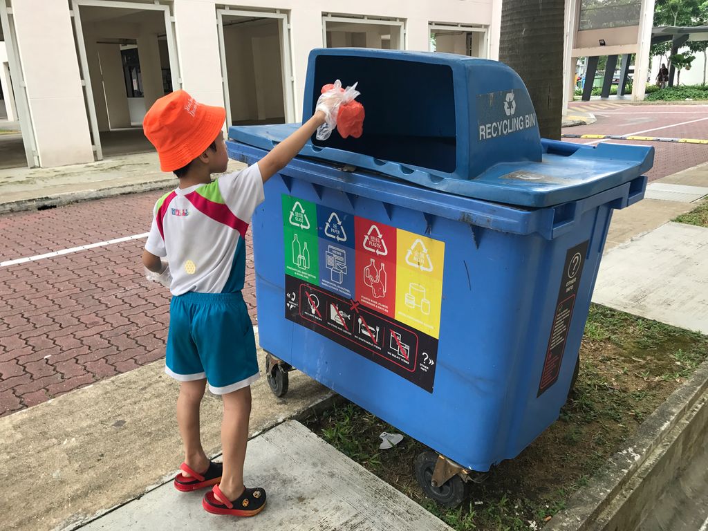 Embarking on the journey of recycling — photo 1