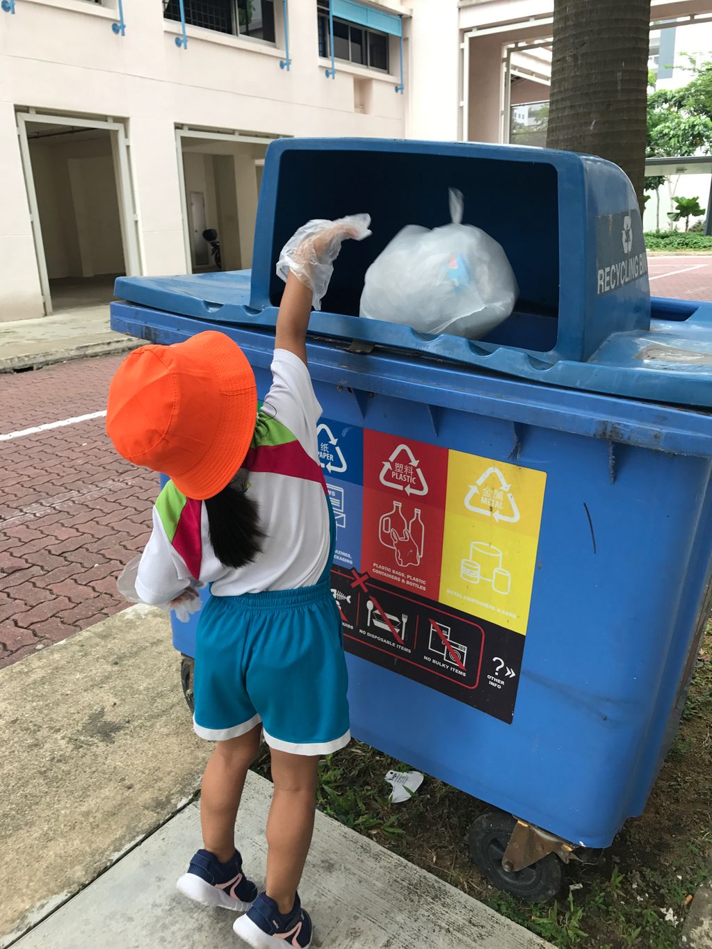 Embarking on the journey of recycling — photo 2