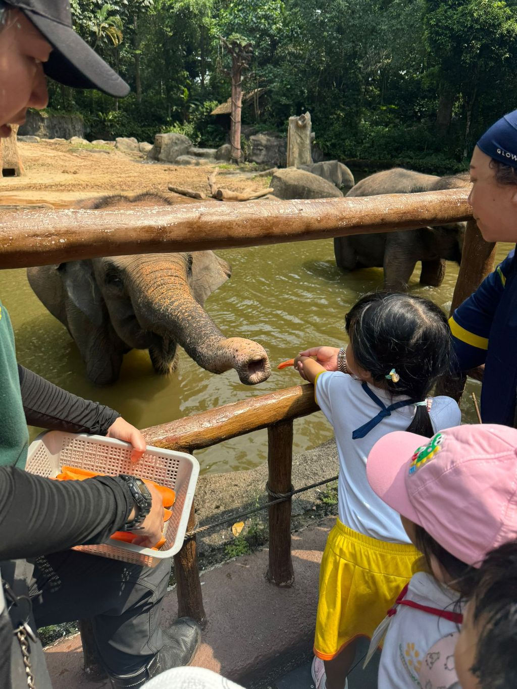 SSDB Programme-Singapore Zoo Field Trip