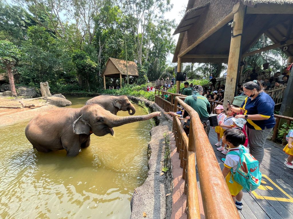 SSDB Programme-Singapore Zoo Field Trip — photo 4