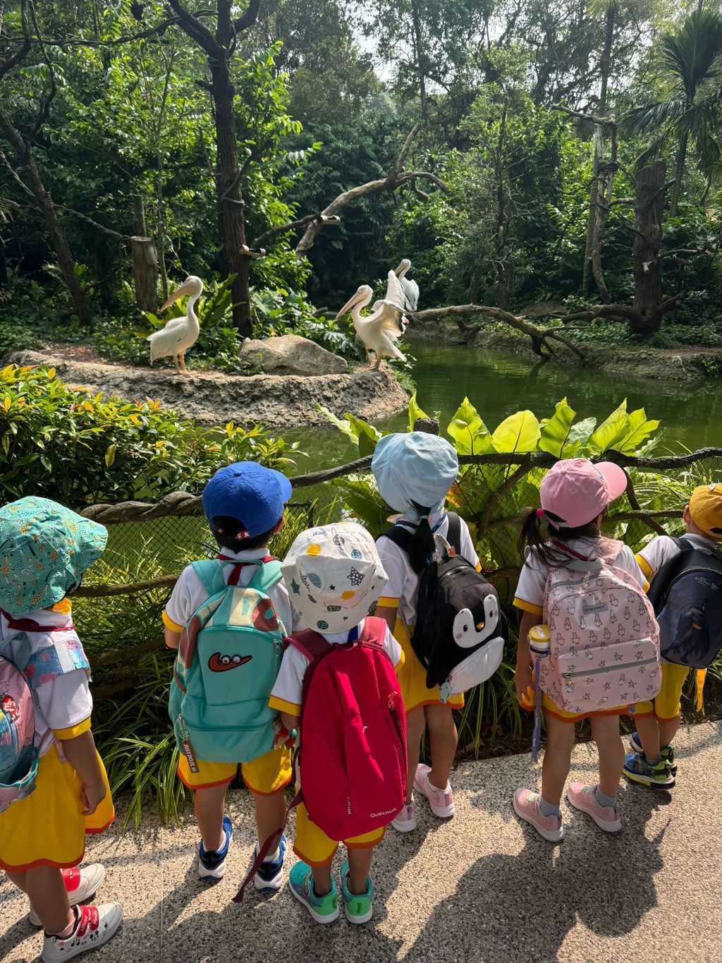 SSDB Programme-Singapore Zoo Field Trip — photo 5