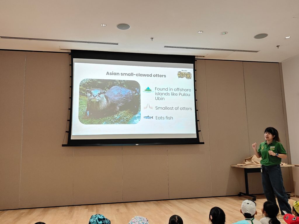 SSDB Programme-Singapore Zoo Field Trip — photo 9