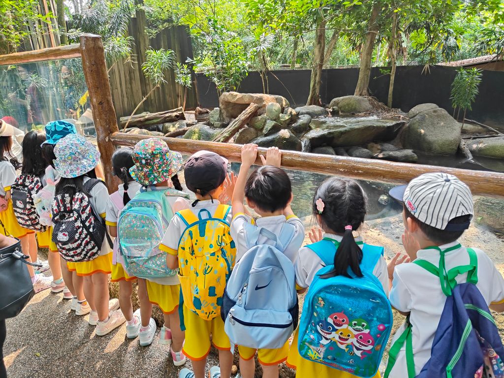 SSDB Programme-Singapore Zoo Field Trip — photo 10