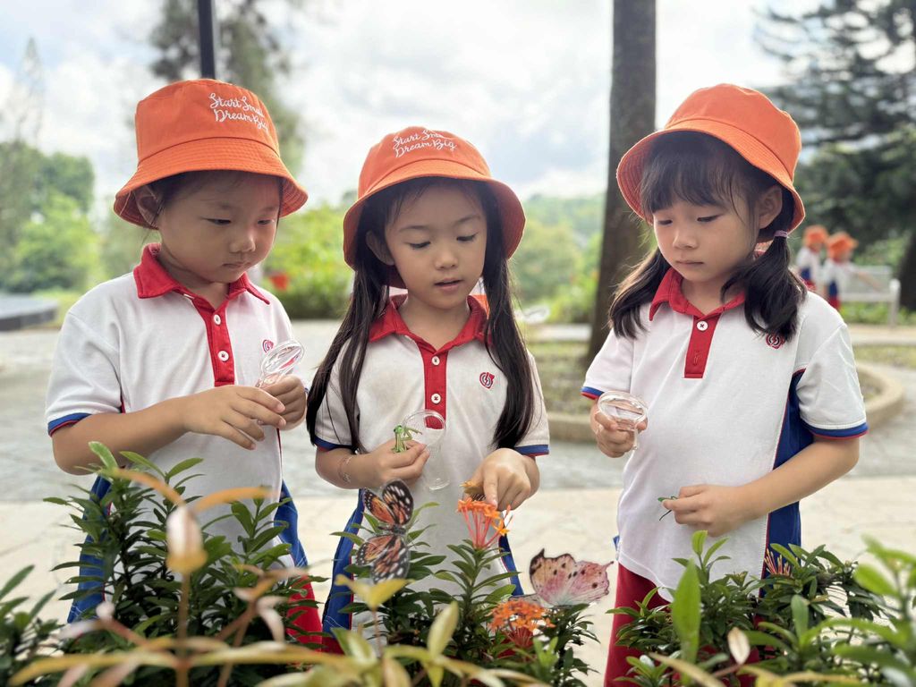Little Explorers: Discovering the Fascinating World of Insects