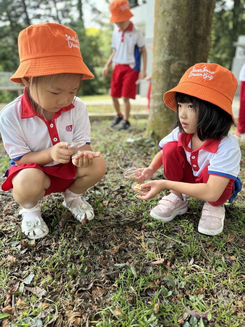 Little Explorers: Discovering the Fascinating World of Insects — photo 2