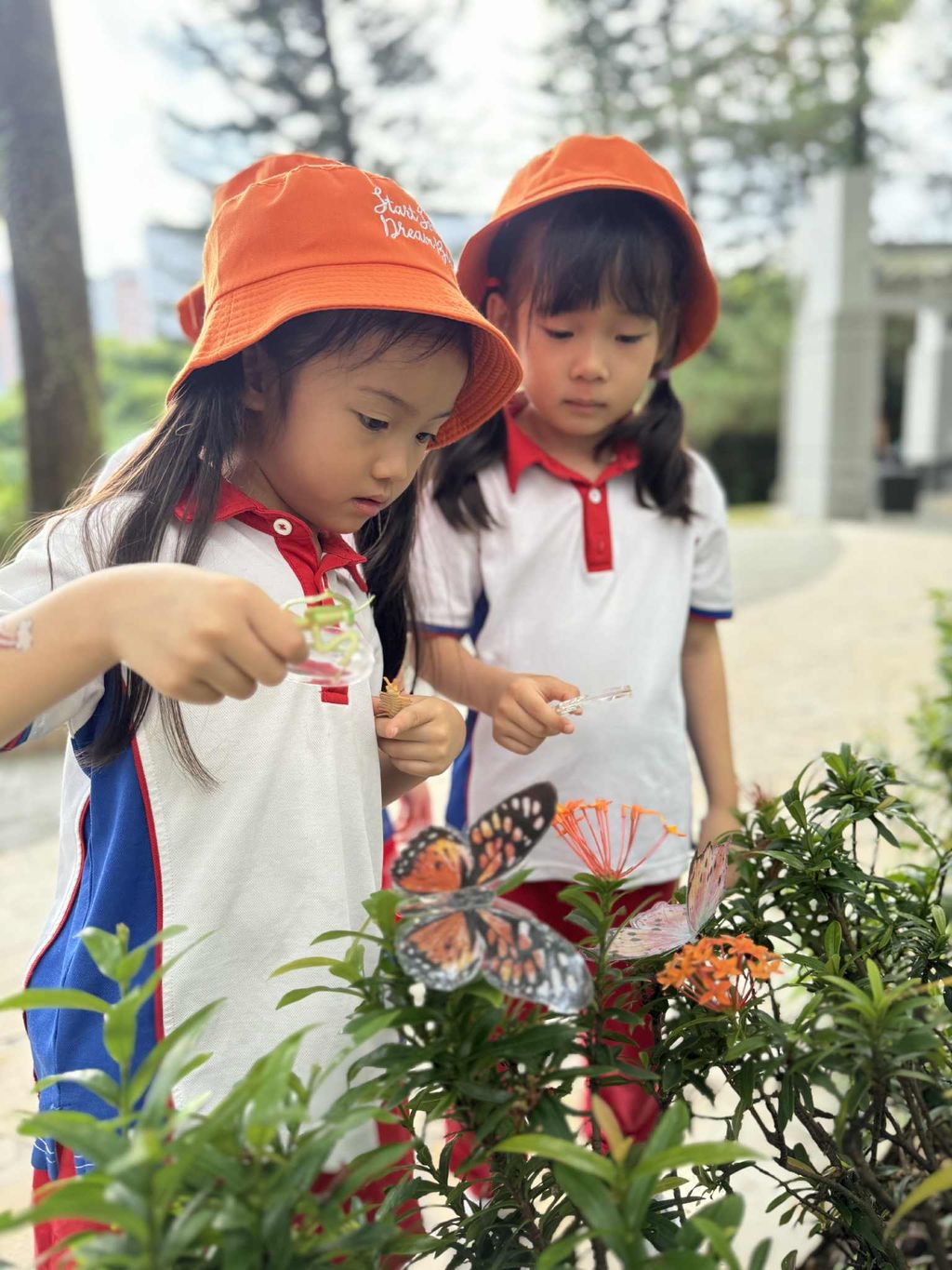 Little Explorers: Discovering the Fascinating World of Insects — photo 3