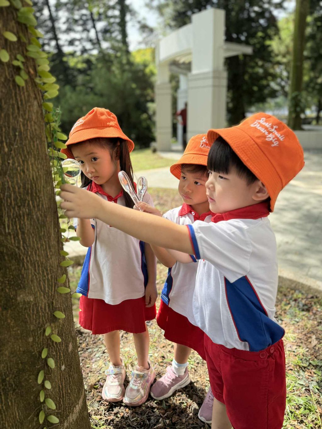 Little Explorers: Discovering the Fascinating World of Insects — photo 4