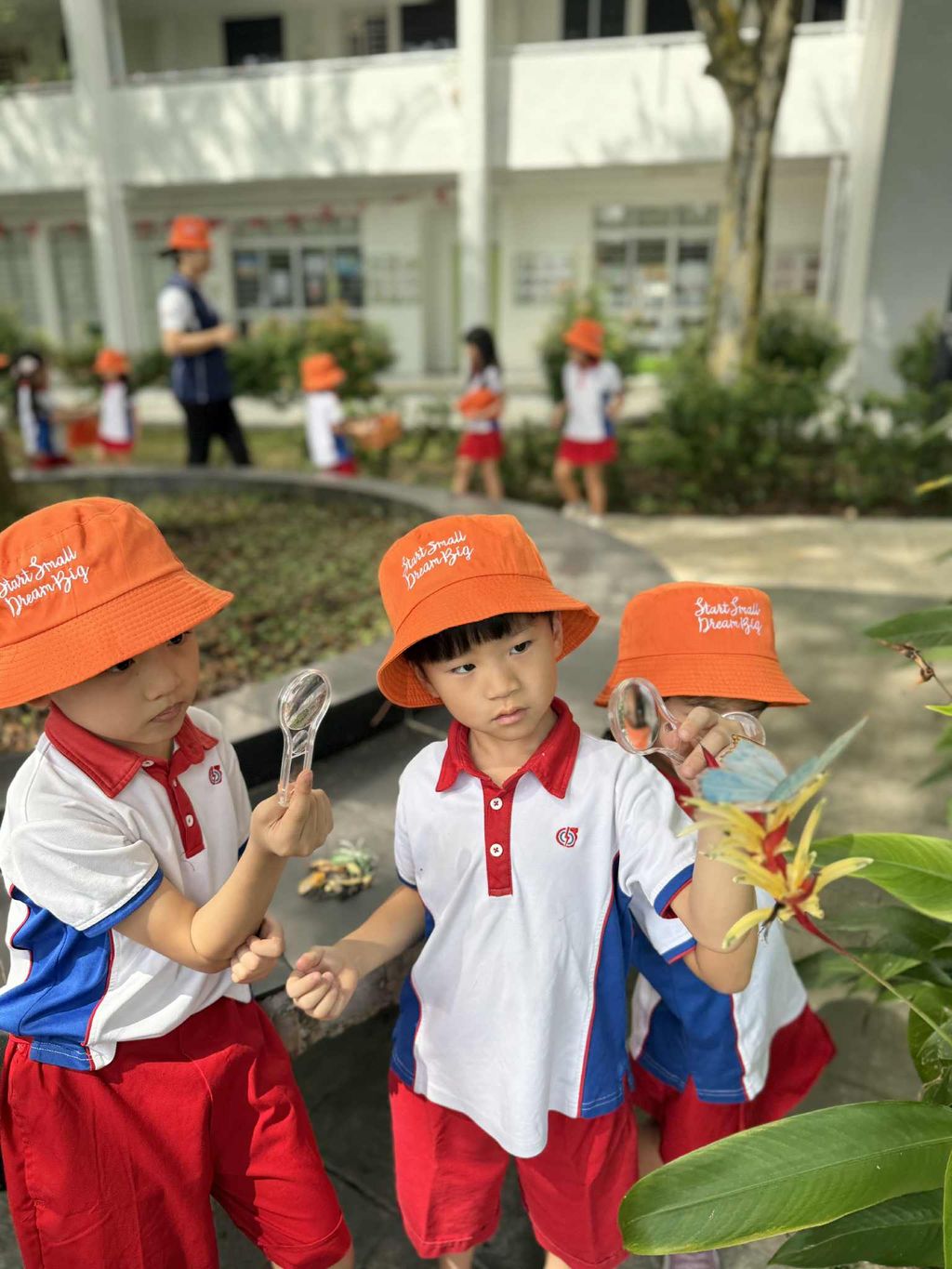 Little Explorers: Discovering the Fascinating World of Insects — photo 5