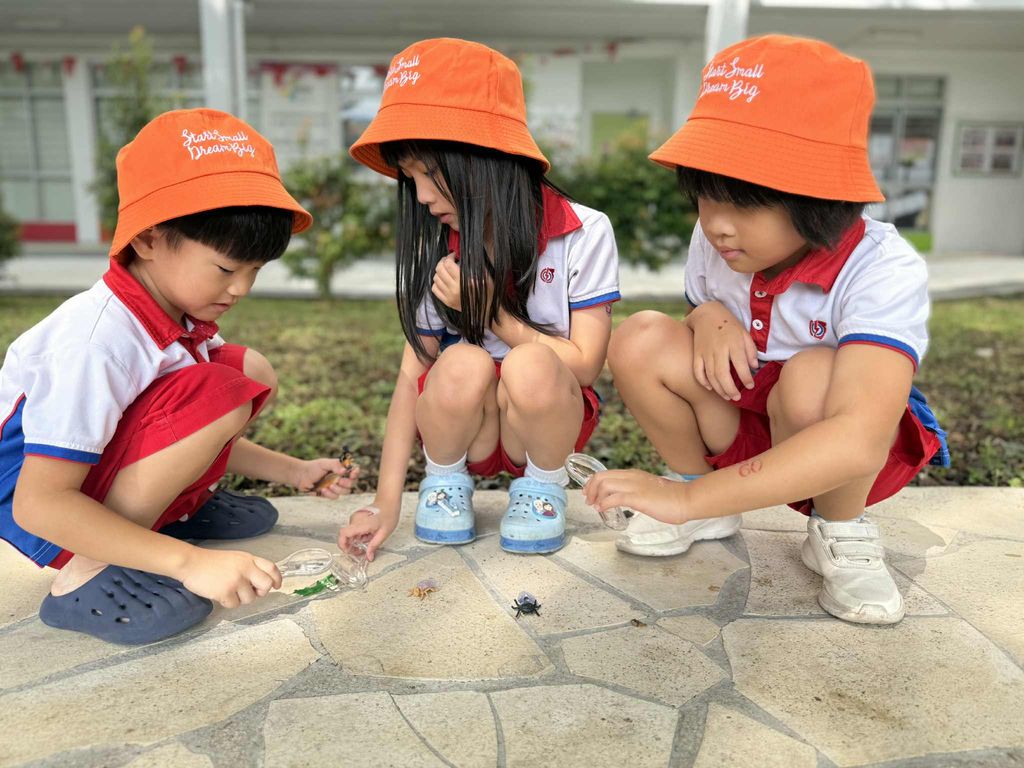 Little Explorers: Discovering the Fascinating World of Insects — photo 6