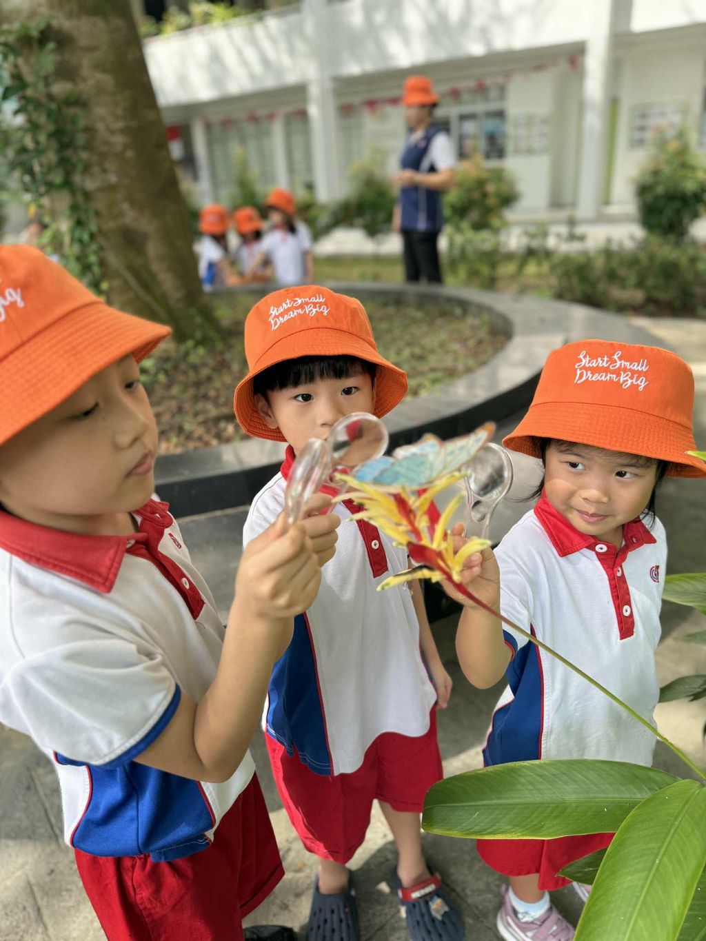 Little Explorers: Discovering the Fascinating World of Insects — photo 1