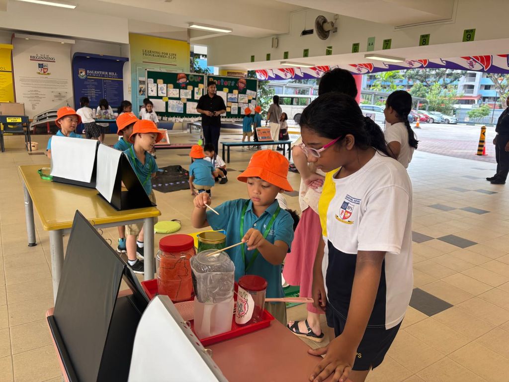 Our Closing Mission and Advocating for Environmental Sustainability — photo 4