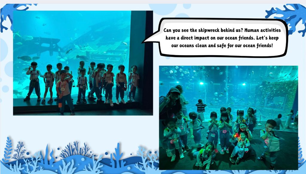 Excursion to Singapore Oceanarium