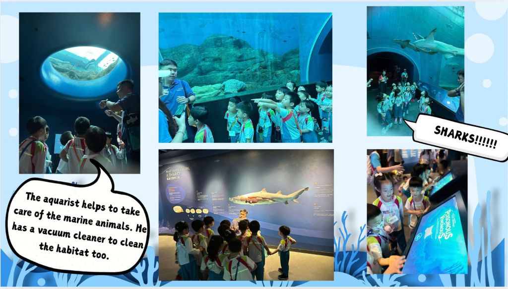Excursion to Singapore Oceanarium — photo 1
