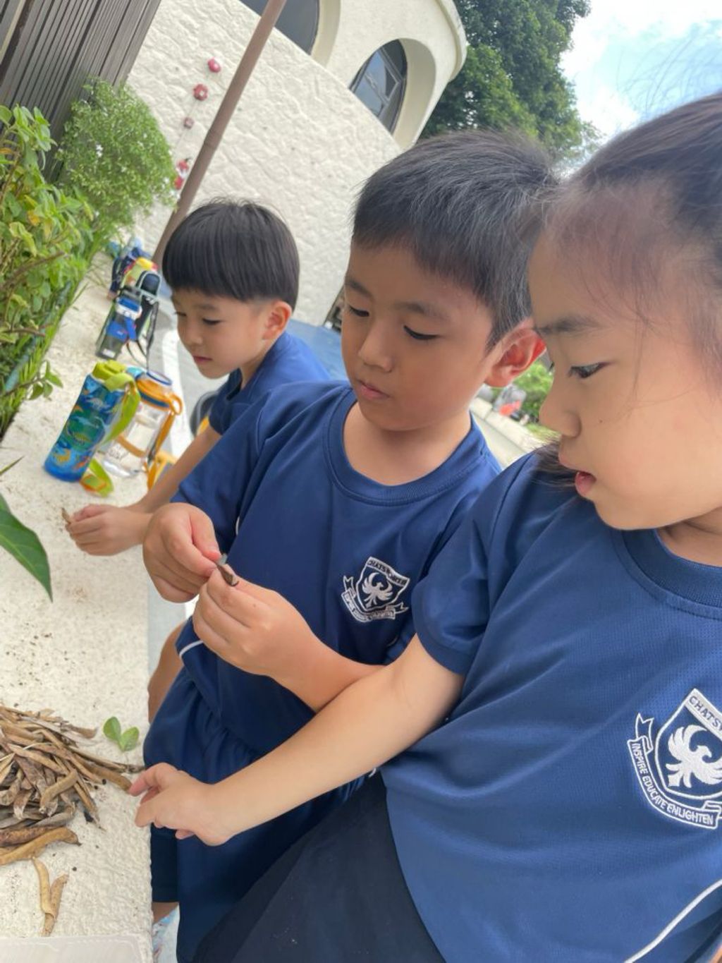 SSDB Launch: Seeds of Kindness-Sharing and Growing Together — photo 2