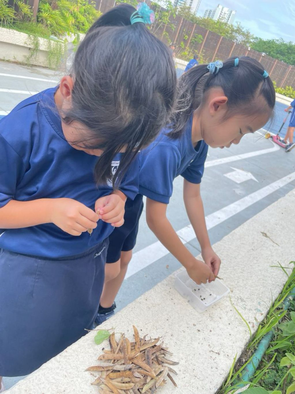 SSDB Launch: Seeds of Kindness-Sharing and Growing Together — photo 3