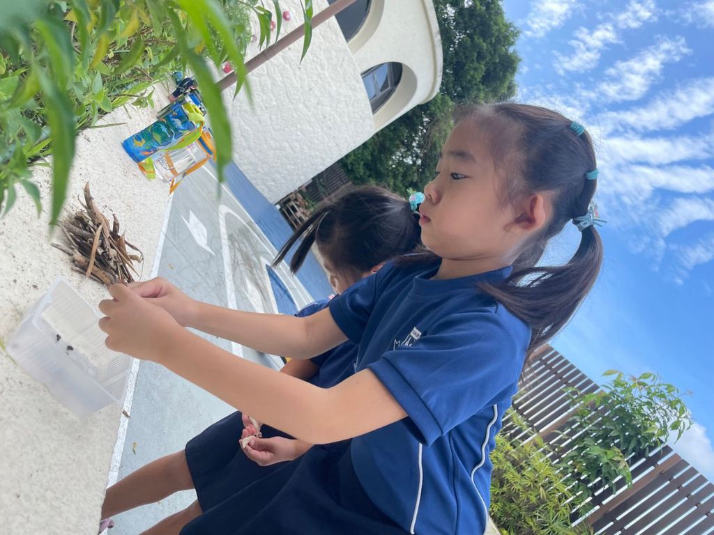 SSDB Launch: Seeds of Kindness-Sharing and Growing Together — photo 5